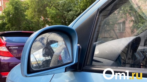Взял в аренду и украл: омич перепродал 32 арендованных автомобиля