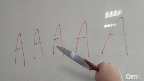 Новосибирец ответит за убийство жениха во время «кровавой» свадьбы