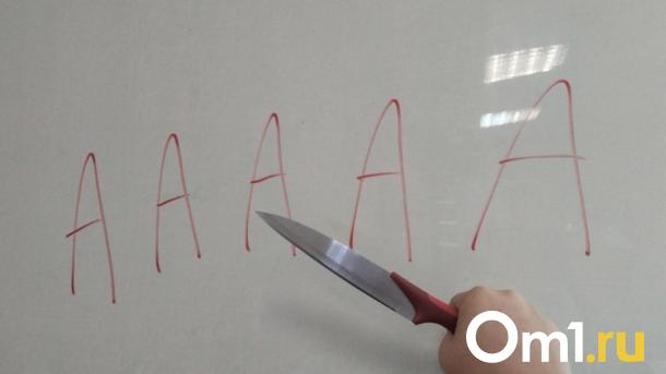 Новосибирец ответит за убийство жениха во время «кровавой» свадьбы