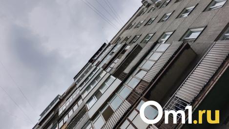 Школьница упала с восьмого этажа в Новосибирске