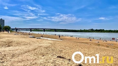 Мужчина наживался на отдыхающих на пляже в Омске