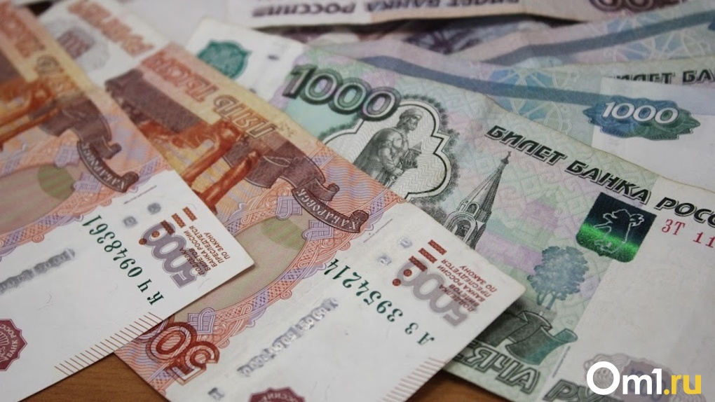 Новосибирские семьи с детьми от 8 до 17 лет получат выплаты в мае 2022 года