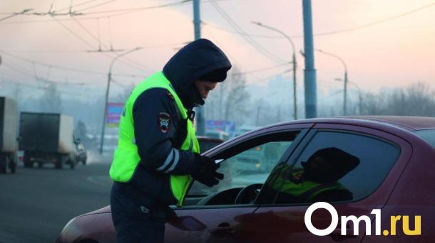 Мэрия Новосибирска: большая часть ДТП происходит по вине пешеходов