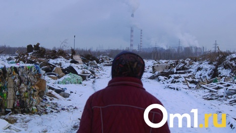 Летят горшки на голову: омичи жалуются на свою агрессивную соседку по дому
