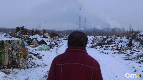 Летят горшки на голову: омичи жалуются на свою агрессивную соседку по дому