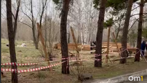 В Омске строят второй парк альпак