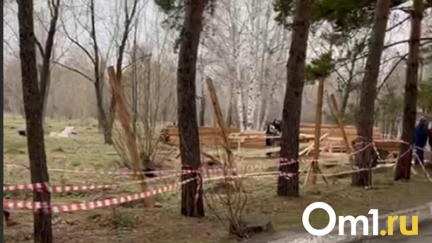 В Омске строят второй парк альпак