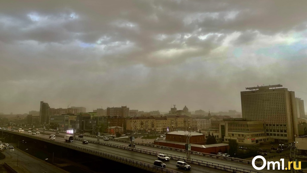 Синоптики снова предупредили об ураганном ветре в Омской области