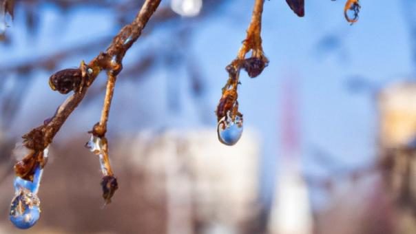 Похолодание и дождь придут в Новосибирск с 29 апреля по 1 мая