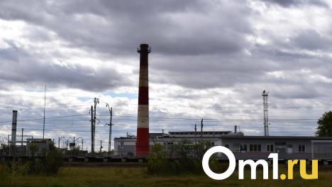 Восточную часть Омска засыпало подозрительным пеплом