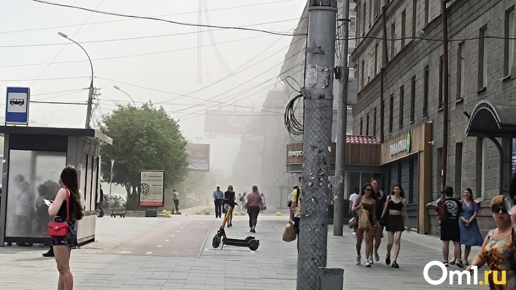 Мэр Максим Кудрявцев назвал три причины образования пыли в Новосибирске
