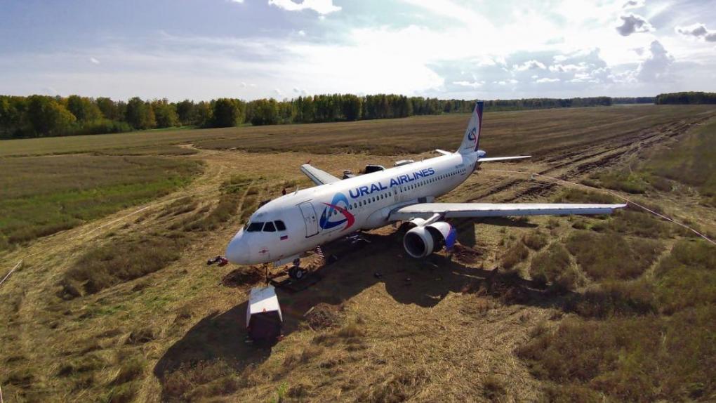 Самолёт «Уральских авиалиний», севший в поле под Новосибирском, не вернут к полётам
