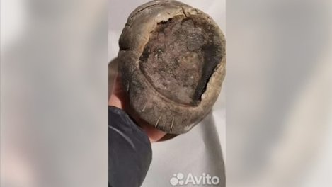 Омич на сайте объявлений меняет кусок кости на новый автомобиль