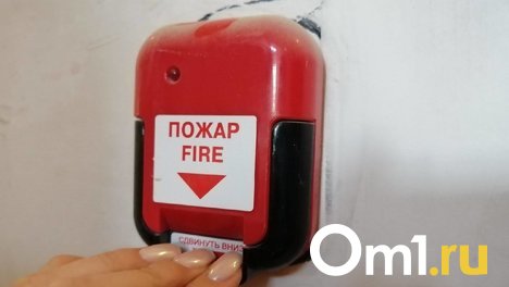 В селе Пушкино под Омском сгорела баня