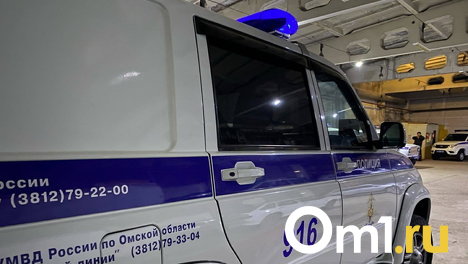 Отец близняшек из Омска, которых нашли мёртвыми в шкафу, назвал причины их смерти