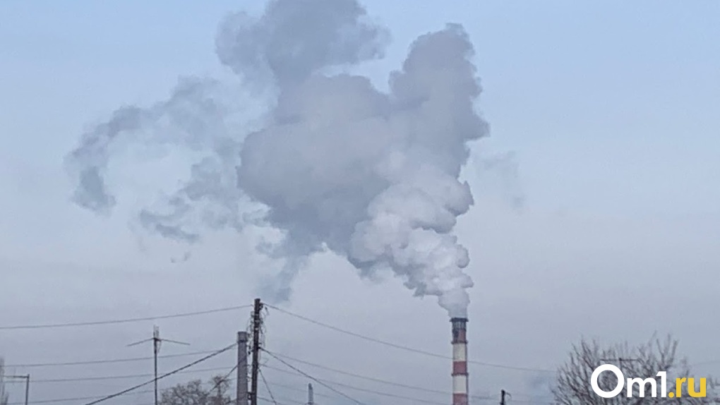 В Правительстве России поддержали идею улучшения качества воздуха в Омске