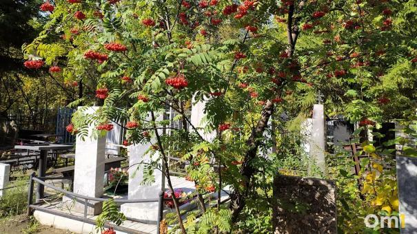 Омича придавило бетонной плитой на кладбище