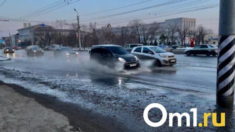 Омским автолюбителям рассказали, оштрафуют ли за грязные номера в межсезонье