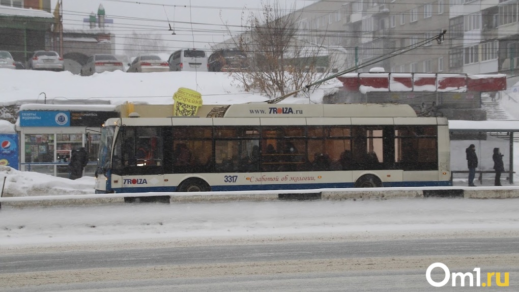 В Новосибирске женщина упала и сломала руку в троллейбусе — Следком организует проверку