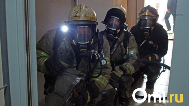 Пожароопасный сезон в Новосибирской области начнётся раньше обычного