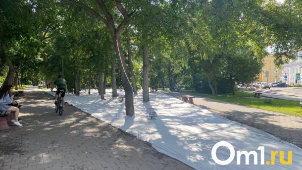 В Омске начали готовиться к проведению выставки «Флора-2025»