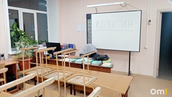 Школьный класс отправили на карантин из-за вспышки кори в Новосибирске