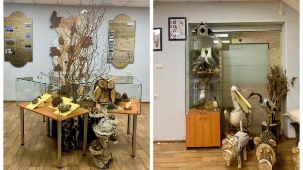 В Омской области откроется новый Музей природы в парке «Птичья гавань»