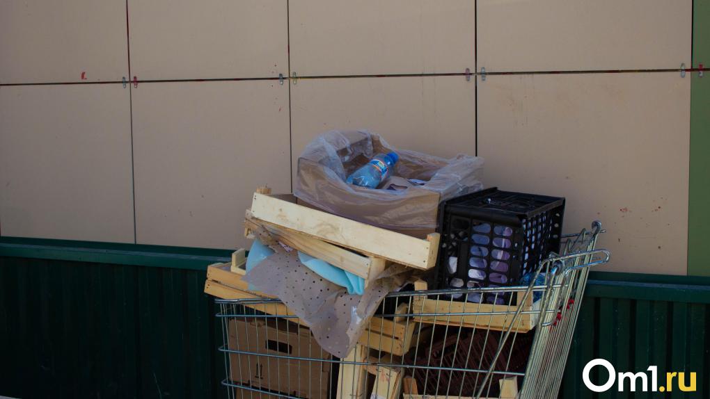 В Омске пересчитают норматив накопления мусора для населения