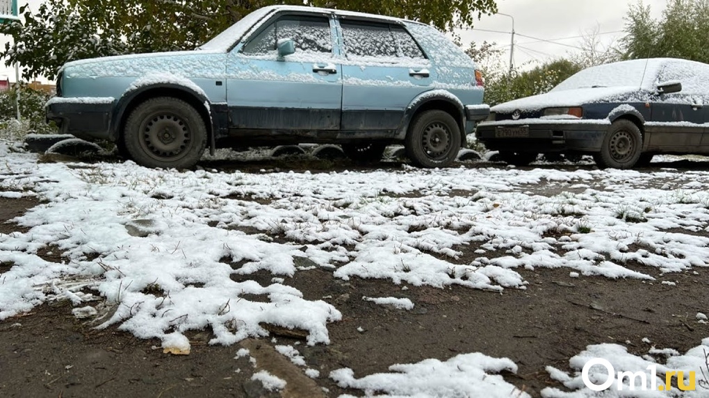 В омской полиции составили топ самых угоняемых машин в регионе