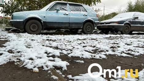 В омской полиции составили топ самых угоняемых машин в регионе