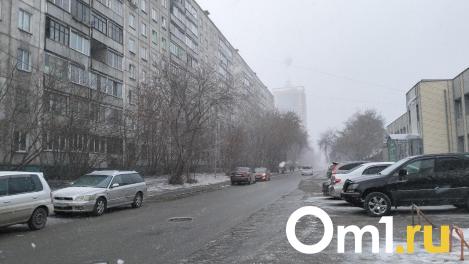 Метель и мороз до -17: МЧС предупредило новосибирцев о непогоде в День народного единства