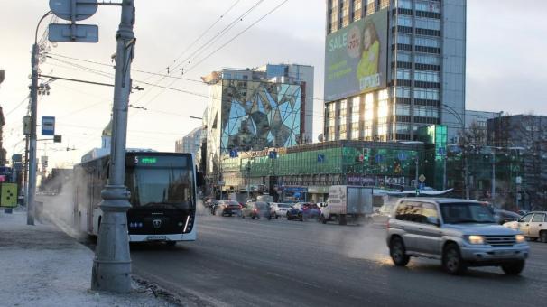 «Не хватает рыбок»: новосибирцы пожаловались на «автобус-аквариум»