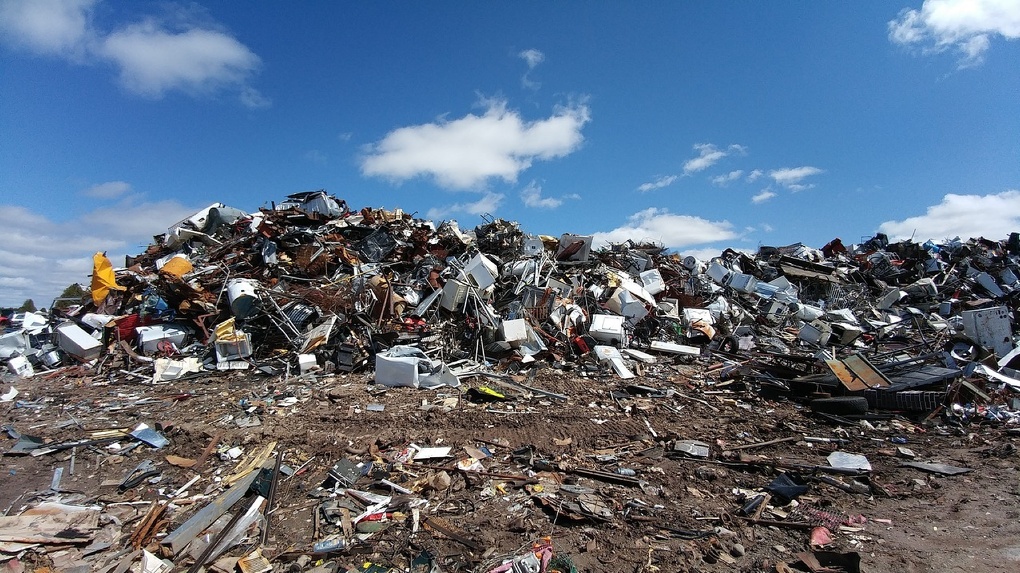 Шесть трупов обнаружили на мусорном полигоне в Новосибирской области