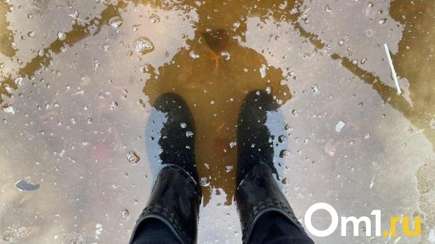 В Омской области более 100 населённых пунктов подвержены подтоплению