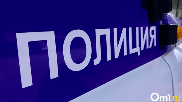 Читали экстремистскую литературу: деятельность запрещённой в России секты пресекли в Новосибирске