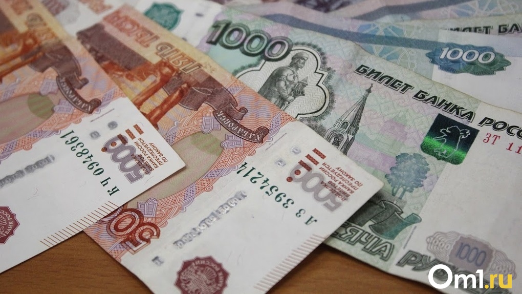 Штраф в 30 тысяч рублей получили двое новосибирцев за плакаты с дискредитацией ВС России