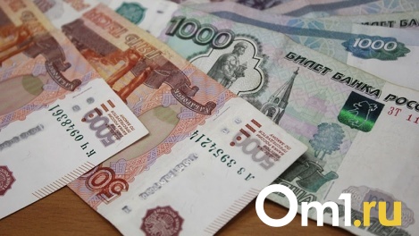 Штраф в 30 тысяч рублей получили двое новосибирцев за плакаты с дискредитацией ВС России