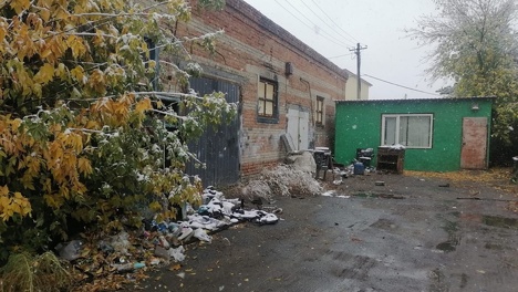 Собака не справилась: в Омске с СТО вывезли металл на 100 тысяч рублей