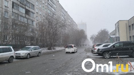 МЧС объявило штормовое предупреждение в Новосибирске