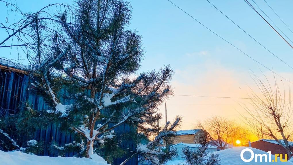 В Омске за ночь выпала почти декадная норма снега