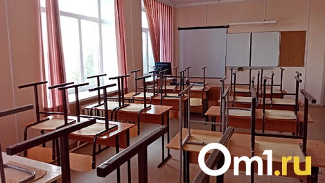 Ребёнка избили в новосибирской школе — следователи проводят проверку