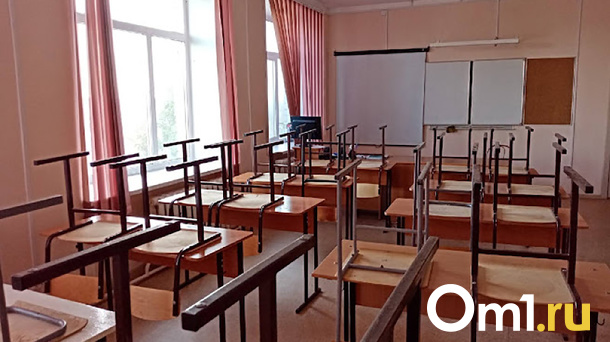 Ребёнка избили в новосибирской школе — следователи проводят проверку