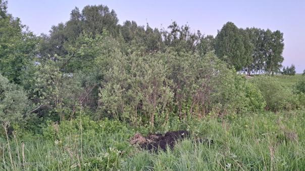 В Новосибирской области мужчина пытался замаскировать убийство под исчезновение без вести