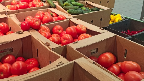 Как правильно садить помидоры, рассказали новосибирцам