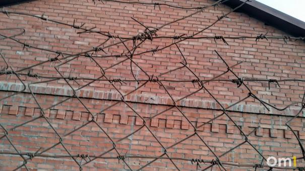 Жителя Новосибирска задержали в Омске за кражу мёда и пиццы