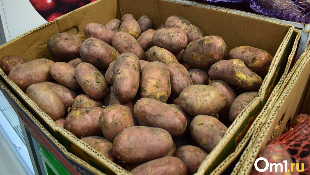 В чём особенности сибирского картофеля, выяснили учёные из Новосибирска