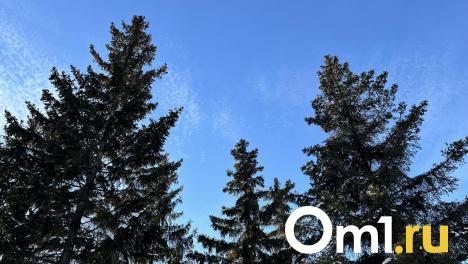 В Омской области ожидается потепление до +10 градусов в ближайшие дни
