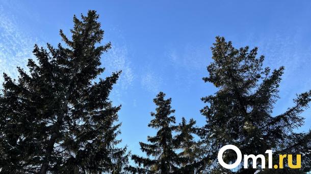 В Омской области ожидается потепление до +10 градусов в ближайшие дни
