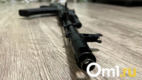 Мужчина устроил стрельбу по машине в одном из омских дворов