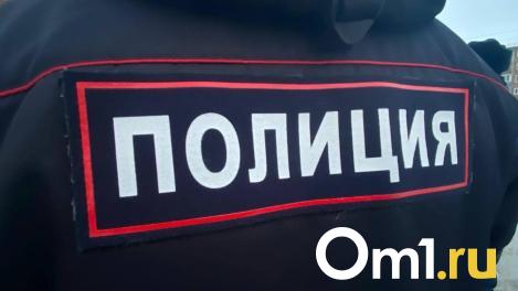 Омич на тёмной машине убил пешехода и скрылся